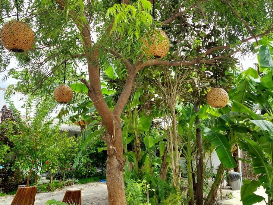 Coco Villa ソドゥー エクステリア 写真