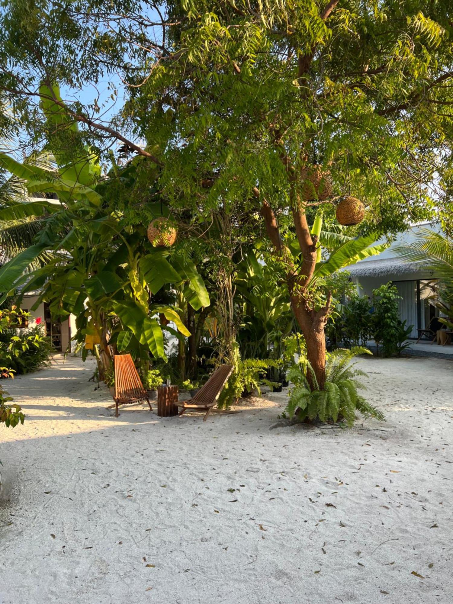 Coco Villa ソドゥー エクステリア 写真